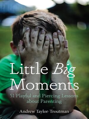 cover image of Little Big Moments